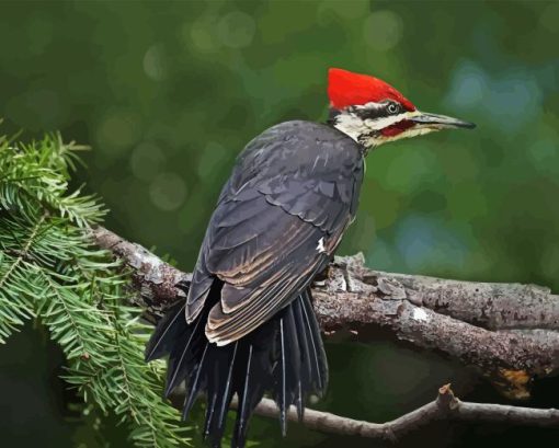 Pileated Woodpecker Diamond Painting