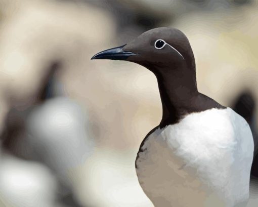 Razorbill Bird Diamond Painting