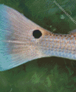 Redfish Tail Underwater Diamond Painting