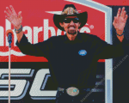 Richard Lee Petty Diamond Painting