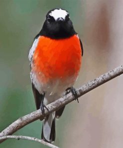 Scarlet Robin Bird Diamond Painting