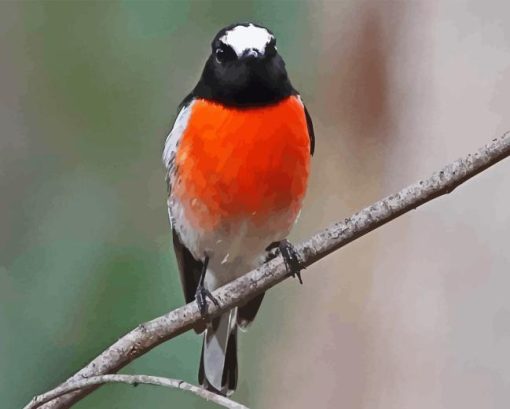 Scarlet Robin Bird Diamond Painting