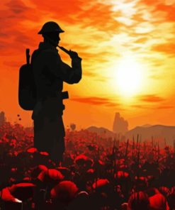 Soldier Poppy Field Diamond Painting