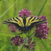 Tiger Swallowtail Diamond Painting