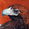 Wedge Tailed Eagle Art Diamond Painting