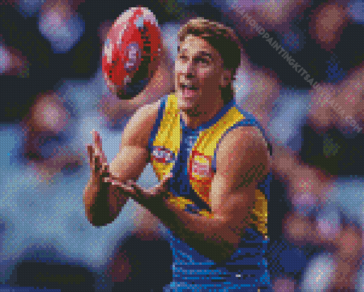 West Coast Eagles Diamond Painting