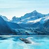 Whale In Glacier Bay Diamond Painting