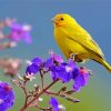 Yellow Canary With Flowers Diamond Painting