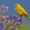 Yellow Canary With Flowers Diamond Painting