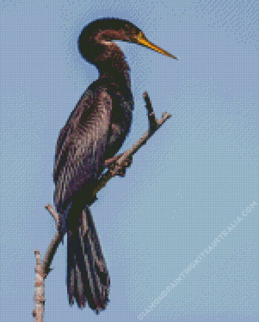Black Anhinga Bird Diamond Painting