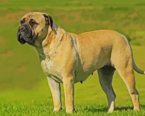 Bullmastiff Diamond Painting