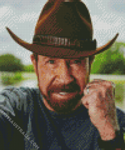 Chuck Norris Diamond Painting