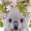 Cute Koala Bear Diamond Painting