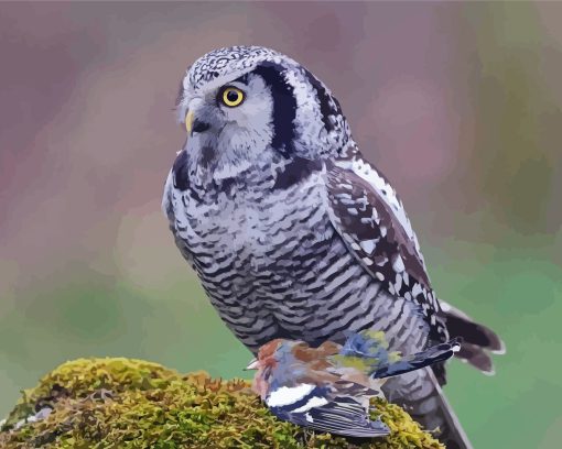 Hawk Owl Diamond Painting