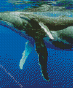 Humpback Whale Diamond Painting