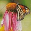 Monarch On Pink Flower Diamond Painting