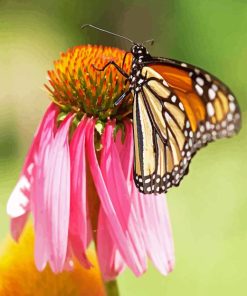 Monarch On Pink Flower Diamond Painting