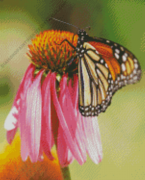 Monarch On Pink Flower Diamond Painting