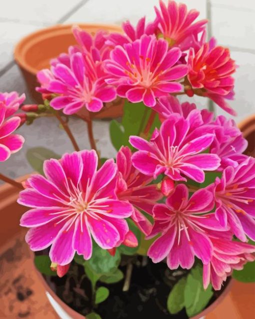 Pink Lewisia Flowers Diamond Painting