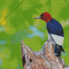 Red Headed Woodpecker Diamond Painting