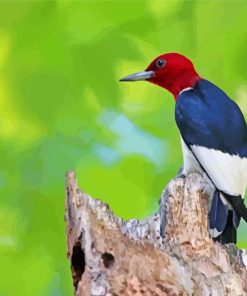 Red Headed Woodpecker Diamond Painting