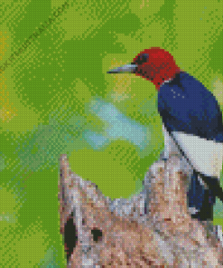 Red Headed Woodpecker Diamond Painting