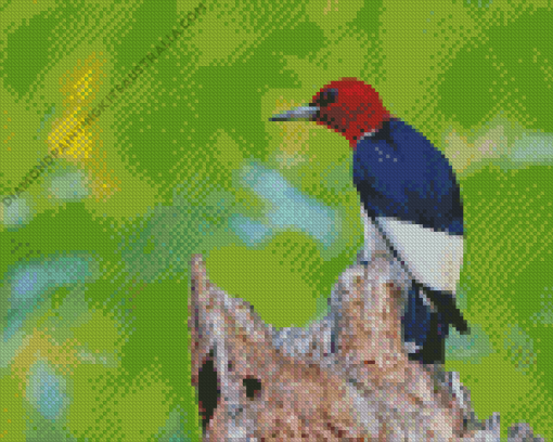 Red Headed Woodpecker Diamond Painting