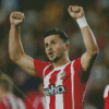 Shane Long Diamond Painting