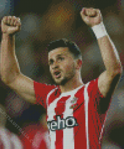 Shane Long Diamond Painting