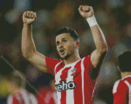 Shane Long Diamond Painting