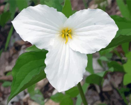 Spring Giant Trillium Diamond Painting