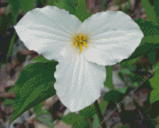 Spring Giant Trillium Diamond Painting