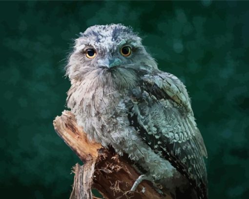 The Frogmouth Bird Diamond Painting