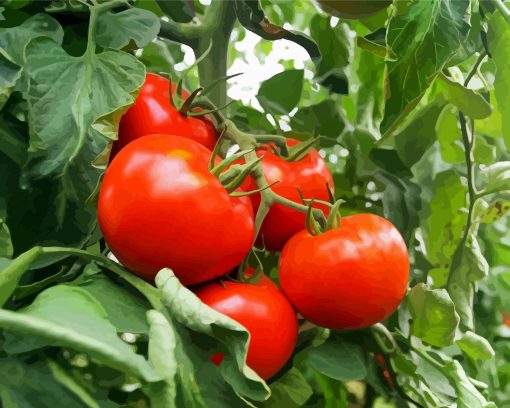 Tomato Plant With Leaf Diamond Painting