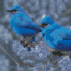 Two Blue Birds Diamond Painting