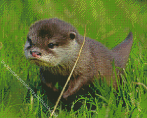 Baby Otter Diamond Painting