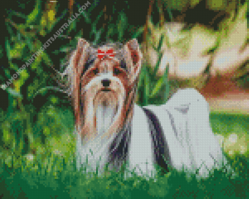 Biewer Terrier Diamond Painting