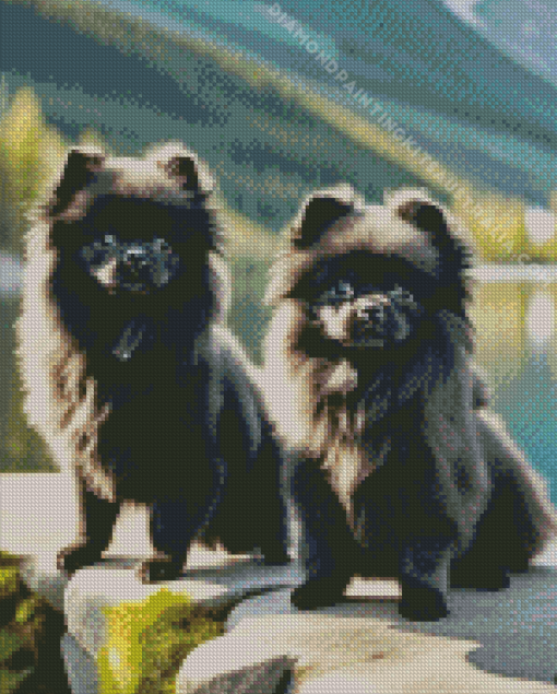 Black Pomeranian Puppies Diamond Painting