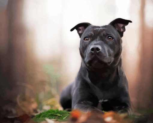 Black Staffy Bull Terrier Diamond Painting