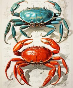 Blue And Red Crab Diamond Painting