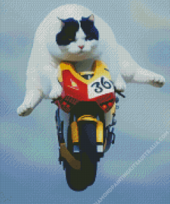 Cat on Motorcycle Diamond Painting