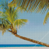 Coconut Tree on Beach Diamond Painting