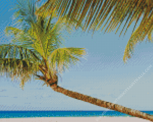 Coconut Tree on Beach Diamond Painting