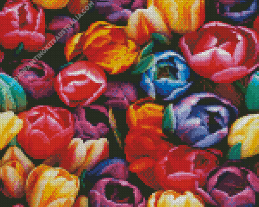 Colorful Tulips Blossoms Diamond Painting