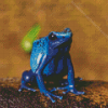 Dart Frogs Diamond Painting