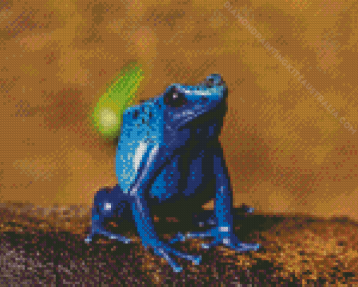 Dart Frogs Diamond Painting