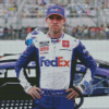 Denny Hamlin Diamond Painting