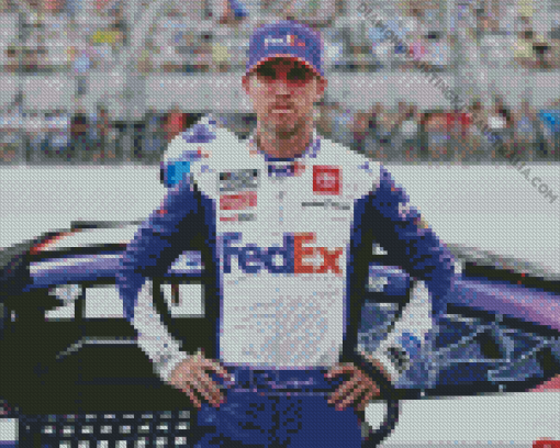 Denny Hamlin Diamond Painting