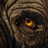 Elephant Eye Diamond Painting