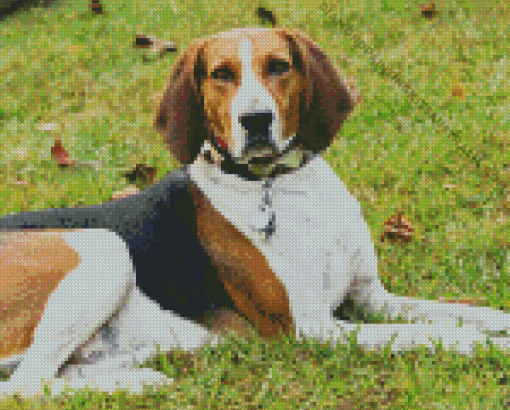 English Hound Diamond Painting